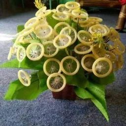Avatar người đánh giá